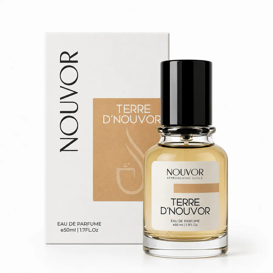 Terre D&