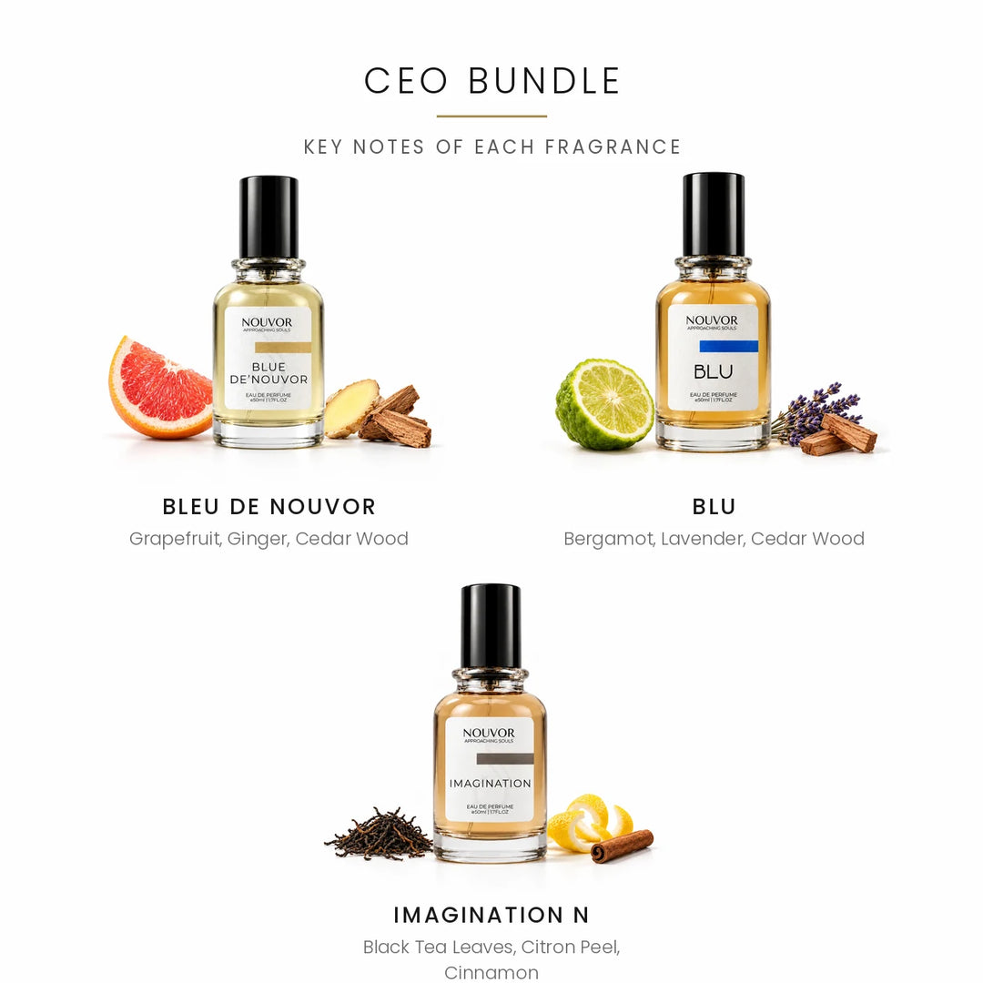 CEO Bundle Key Notes of Bleu De Nouvor, Blu and Imagination N | Nouvor Perfumes Pakistan