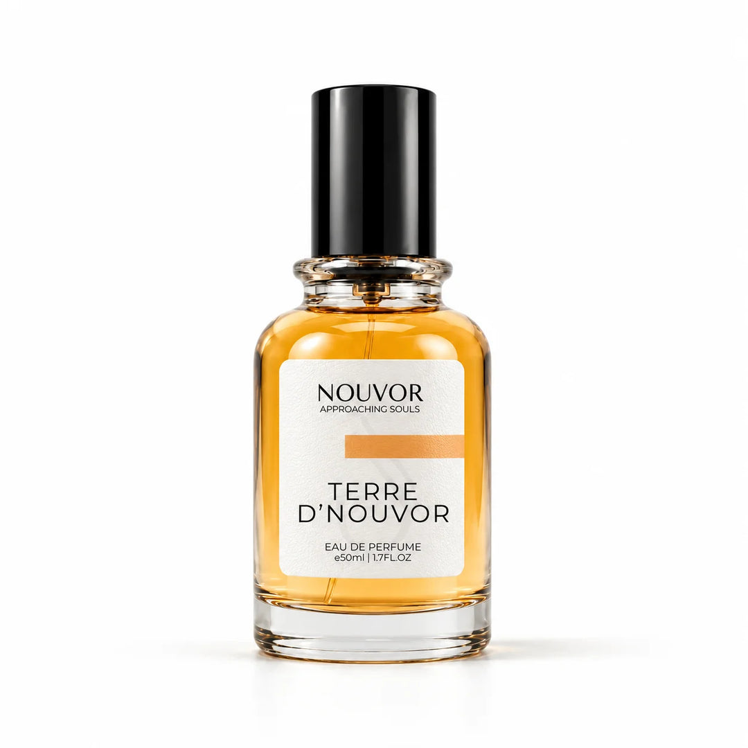 Terre D&
