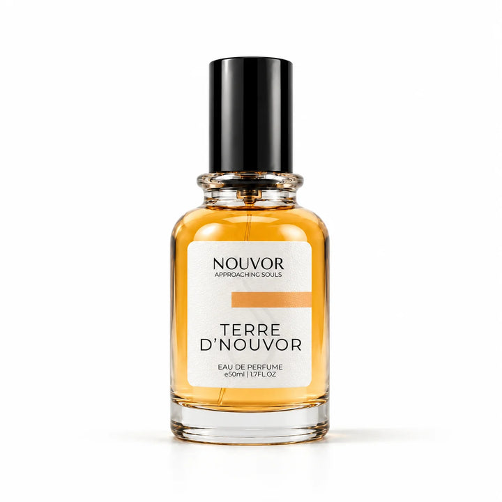 Terre D&